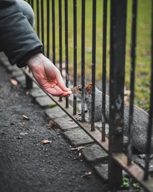 how to manually open an electric gate