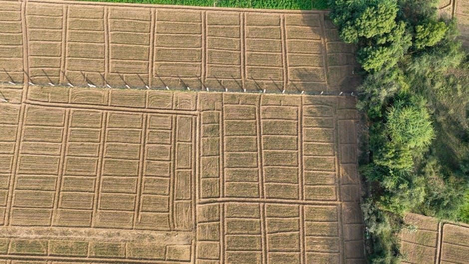 the farming of bones pdf