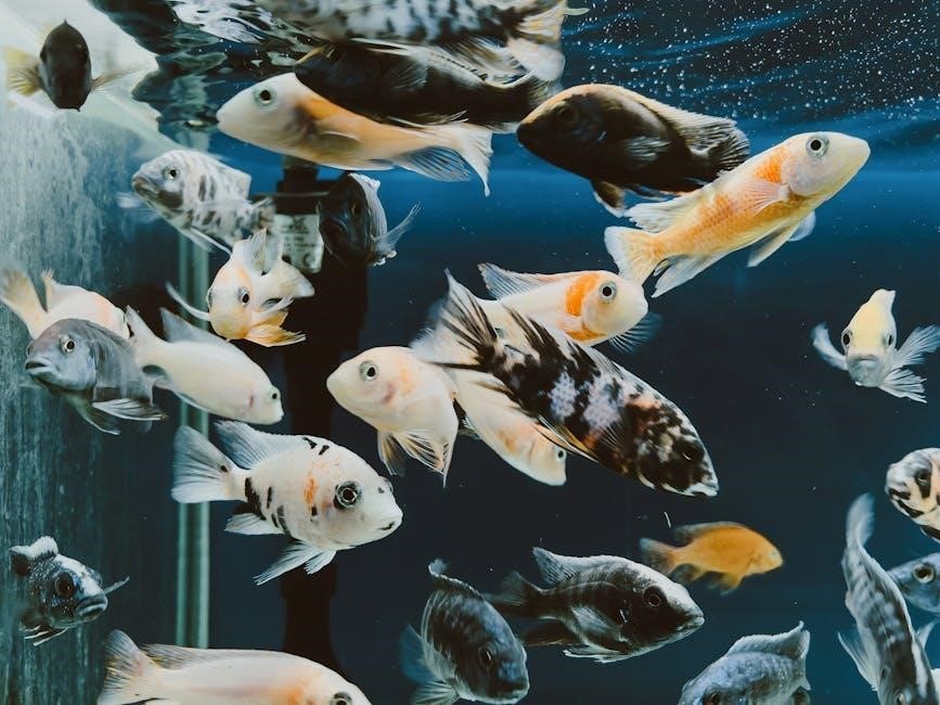 qld saltwater fish identification chart pdf